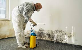 Mold Documentation for Insurance Claims